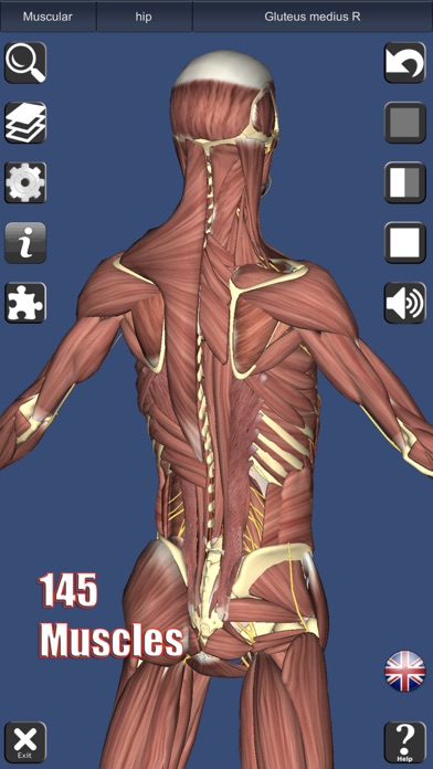 3D Anatomy Screenshot 1