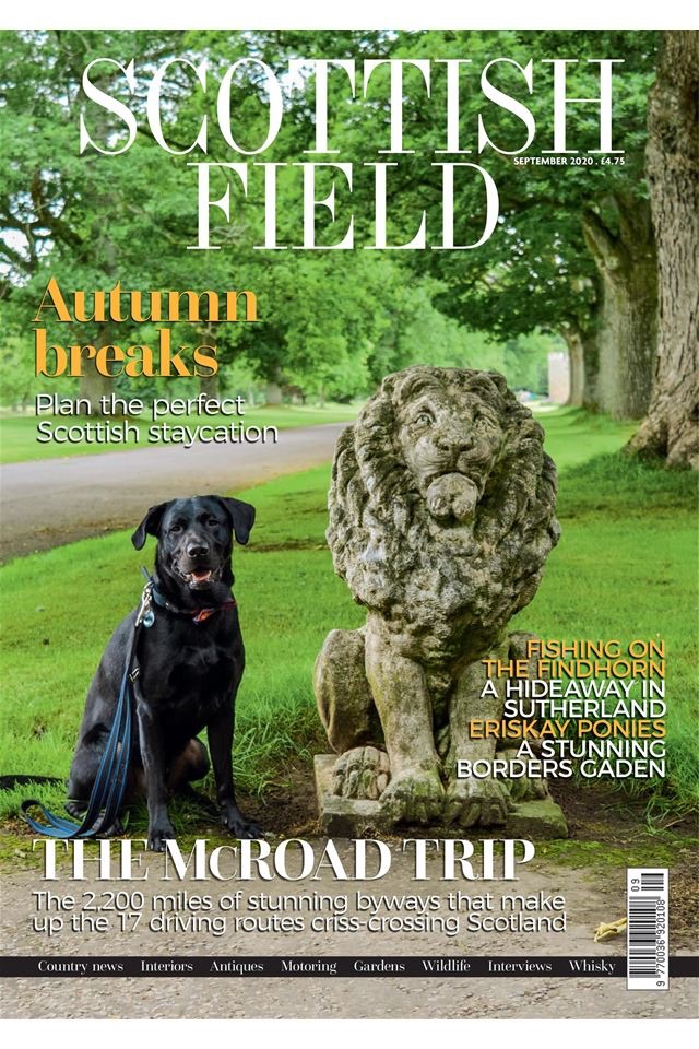 Scottish Field Magazine screenshot 3