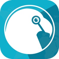 allzin - Sosyal SuperApp