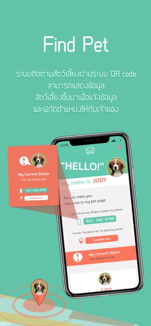 PETDY(圖3)-速報App