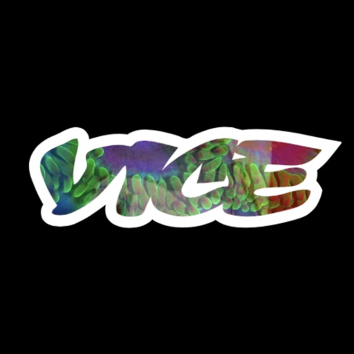 vice media usa