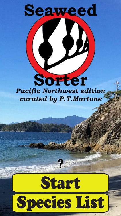 Seaweed Sorter