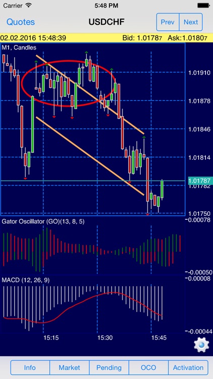 NetTradeX for IFC Markets