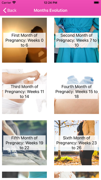 Pregnancy Calculator Calendar screenshot 4