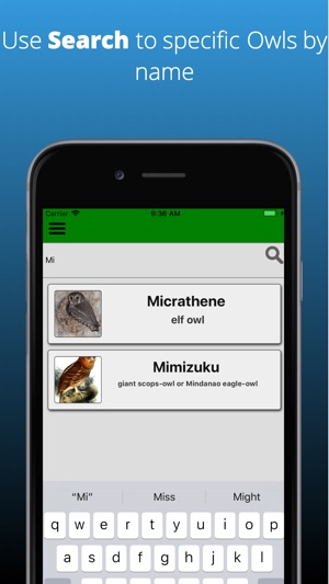 Owl Dictionary(圖4)-速報App