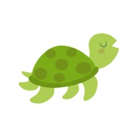 Flippers Save the turtles