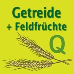 Getreide  Feldfrüchte  Quiz