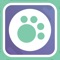 Pet Grooming at home