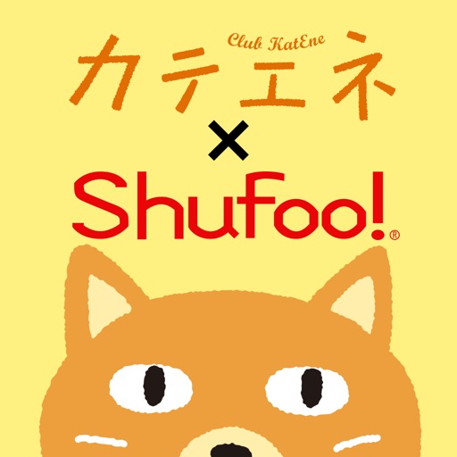 カテエネ×Shufoo！