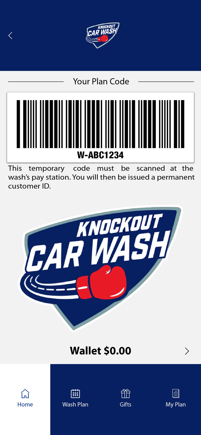 Knockout Car Wash