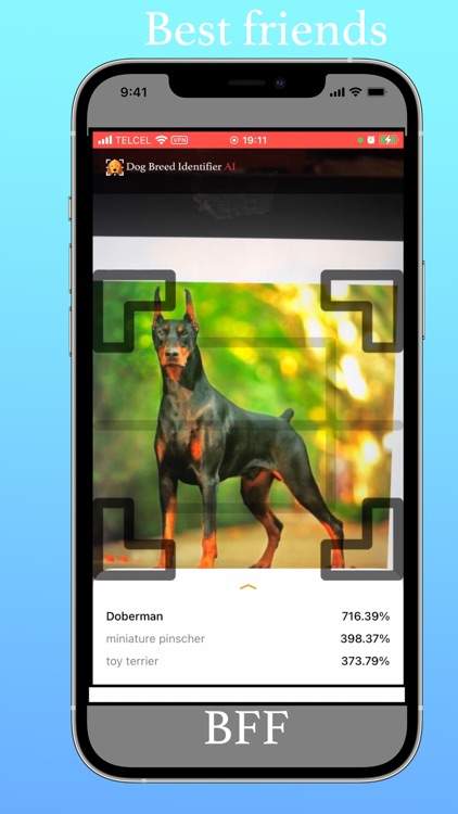 Dog Breed Identifier AI