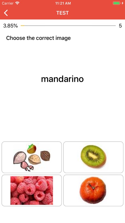 Beginner Italian: Smart Choice screenshot-5