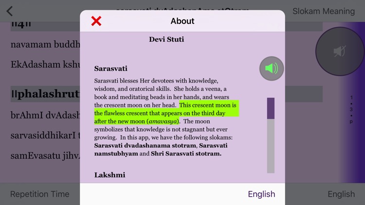 Devi Stuti screenshot-4