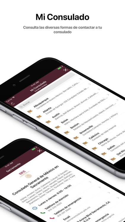 MiConsulmex screenshot-3