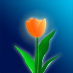 Doctor Florist