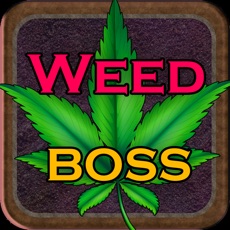 Activities of Weed Boss - Idle Ganja Tycoon