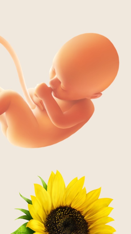 Pregnancy and Due Date Tracker