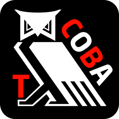 Такси Сова (Ужгород)