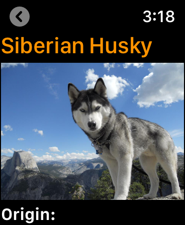 Screenshot #8 for Dogs Guide for Watch: Breeds