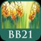 Breaking Bread 2021 eMissal app offers a brand-new way to participate in the liturgy
