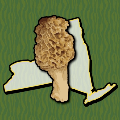 New York Mushroom Forager Map!