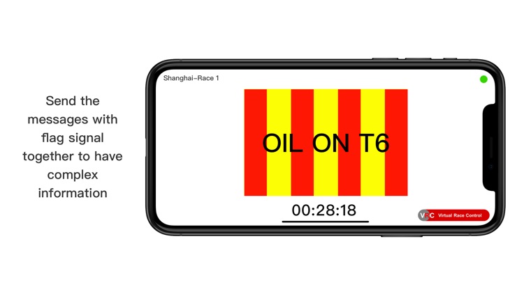 Virtual Race Control screenshot-3