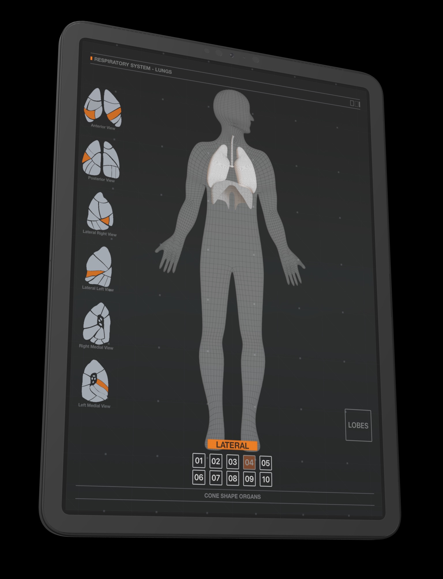 Lungs Respiratory System screenshot 2