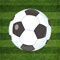 Byd Cartoon Football Sticker
