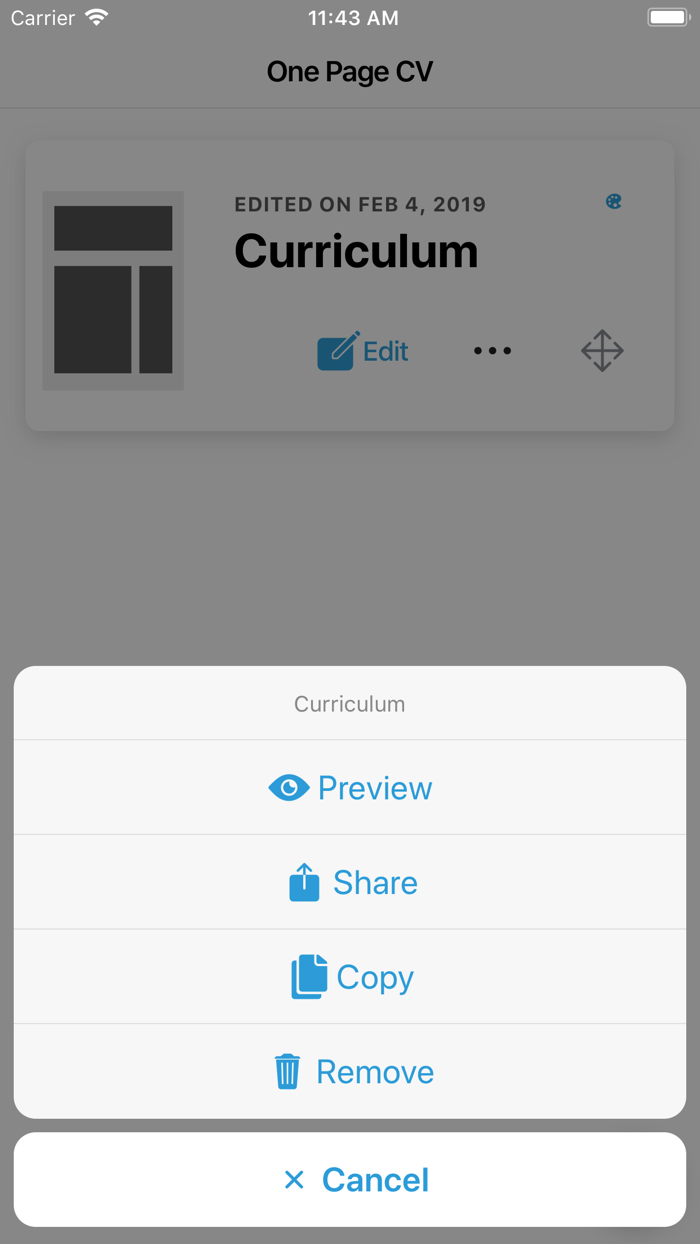 One Page CV - PDF Resume
