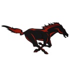 Edgewood Mustangs Athletics