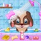 Play puppy pet daycare & fall in love with your cute adorable puppy of pet daycare game