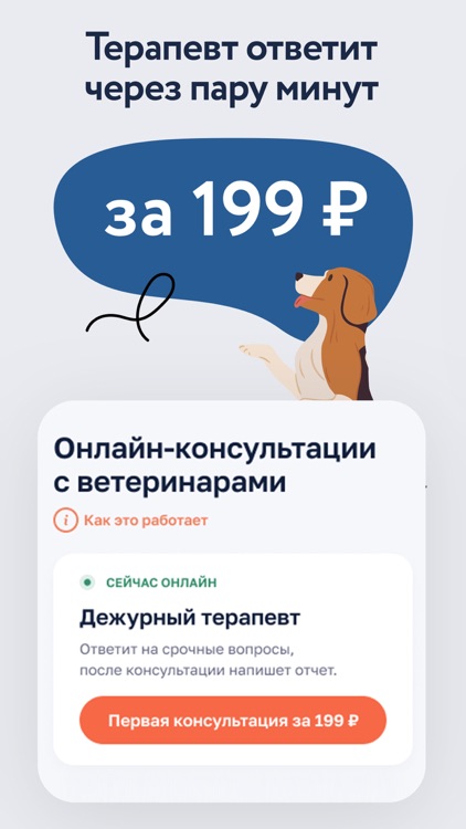 Petstory: все для питомца