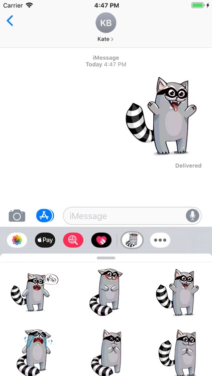 Racoon Stickers Pack screenshot-4