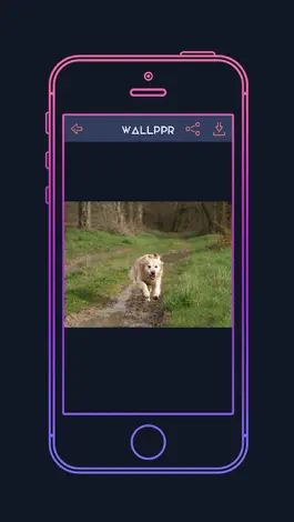 Game screenshot WALLPPR - HD & 4K Wallpapers hack