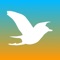 Beach Chickens is a fast-paced endless flier in which you are a seagull with a hankering for beach fries