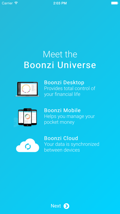 How to cancel & delete Boonzi - Personal Finance from iphone & ipad 1