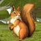 In squirrel simulator you have to play a role of clever squirrel