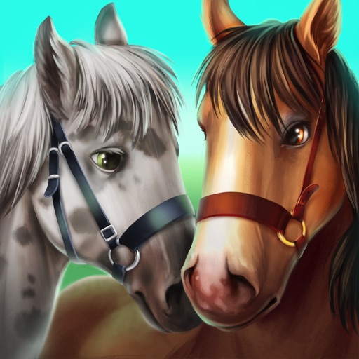 Horse Hotel - care for horses