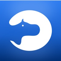 BlueHippoJobApp  PC 용