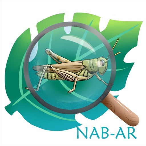 NAB-AR