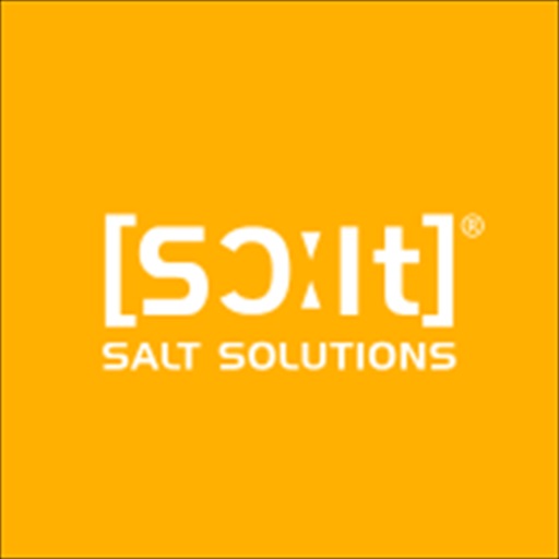 SALT Solutions AG