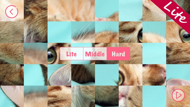 Kittens Lite - Easy Puzzle screenshot-6