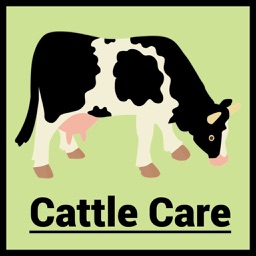 Cattle Care