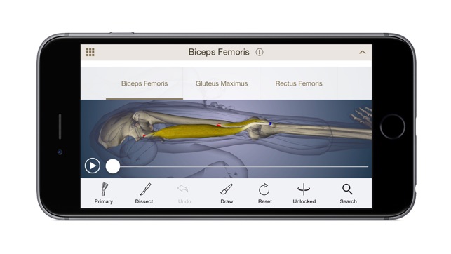 Anatomy U-Experiential Anatomy(圖2)-速報App