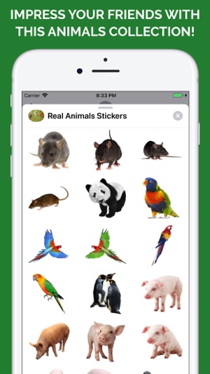 Real Animals Emoji Stickers(圖8)-速報App