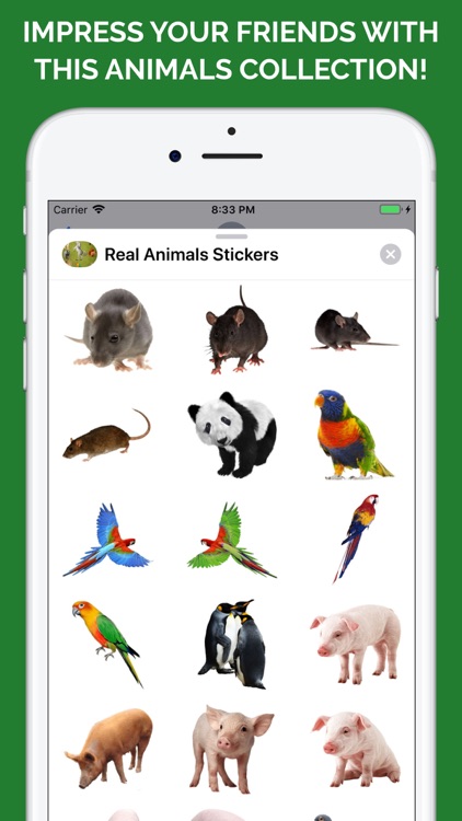 Real Animals Emoji Stickers screenshot-7