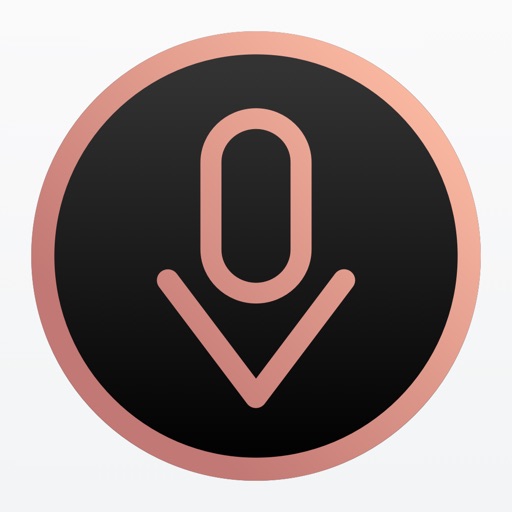 OV Loop Icon