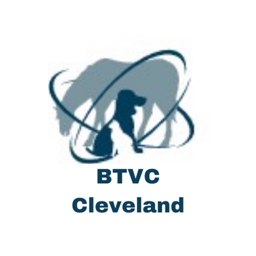 BTVC