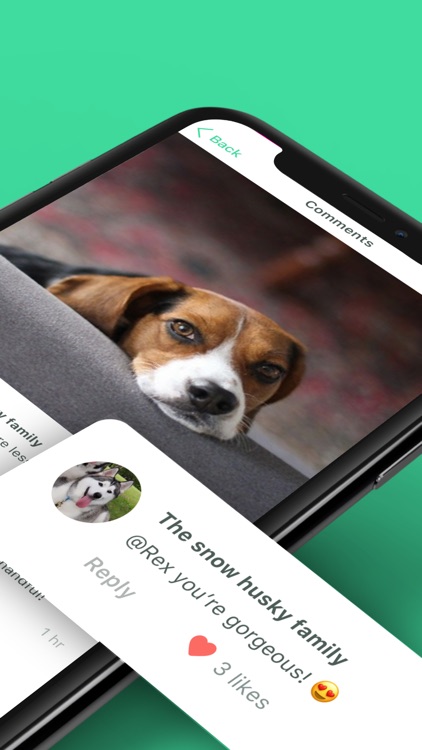 Dog Training & Clicker by Dogo screenshot-6