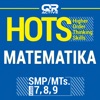 QRActive Hots Mate SMP